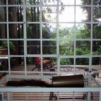 B&B Vitoria Regia Ρίο ντε Τζανέιρο Εξωτερικό φωτογραφία